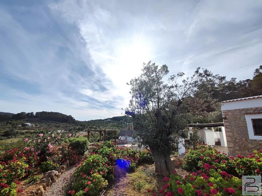 Casa Can Lluc Con Piscina, Jardin Y Vista Al Campo Sant Miquel de Balansat Zewnętrze zdjęcie