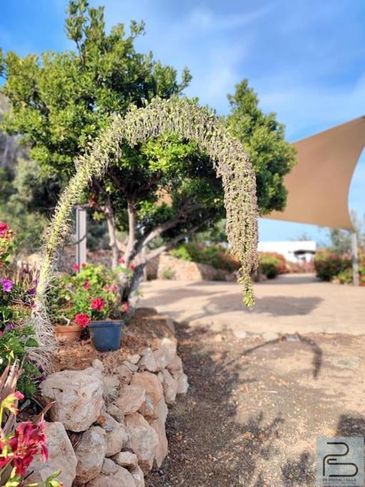 Casa Can Lluc Con Piscina, Jardin Y Vista Al Campo Sant Miquel de Balansat Zewnętrze zdjęcie