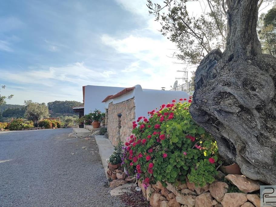 Casa Can Lluc Con Piscina, Jardin Y Vista Al Campo Sant Miquel de Balansat Zewnętrze zdjęcie