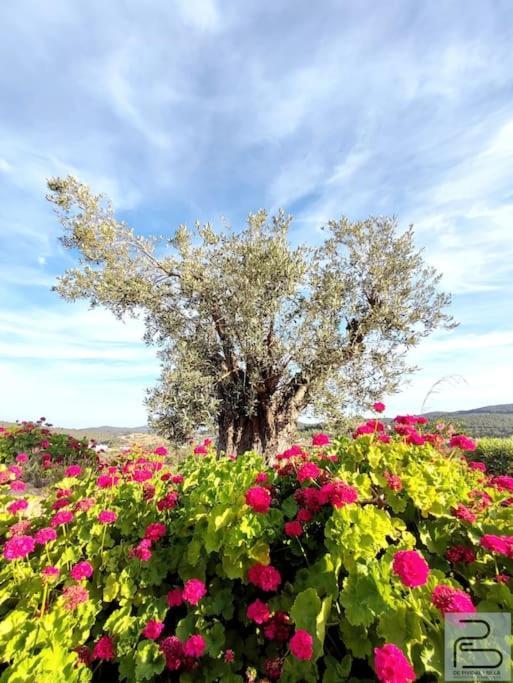 Casa Can Lluc Con Piscina, Jardin Y Vista Al Campo Sant Miquel de Balansat Zewnętrze zdjęcie